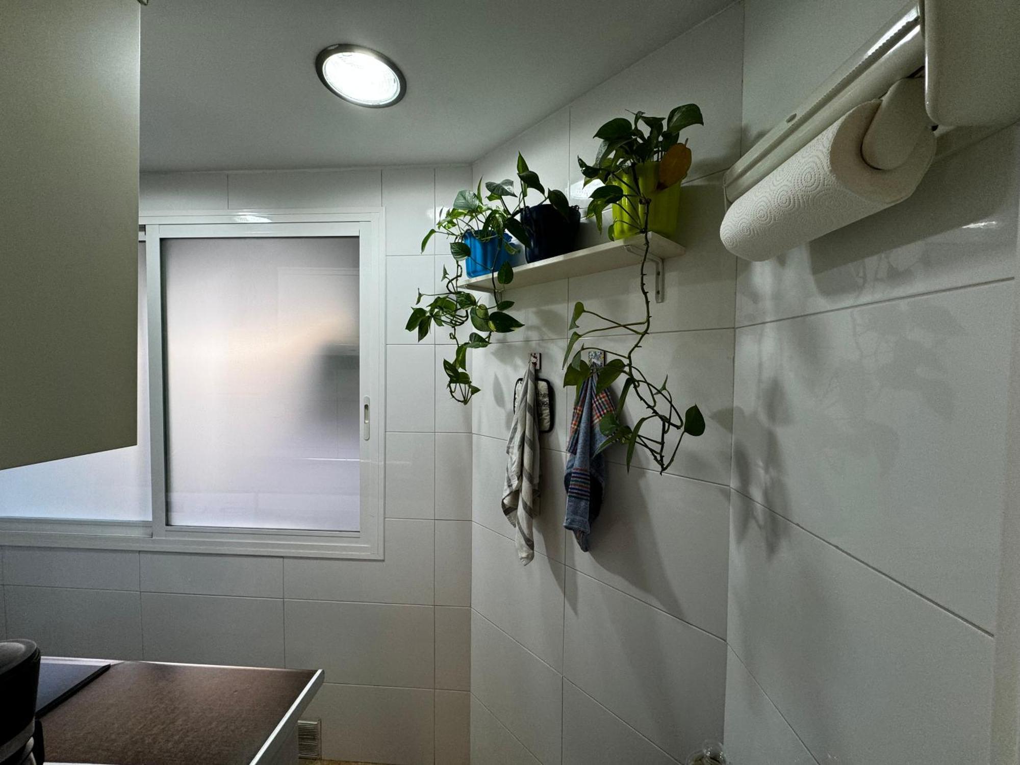 Russafa Codrut Apartment Валенсия Екстериор снимка